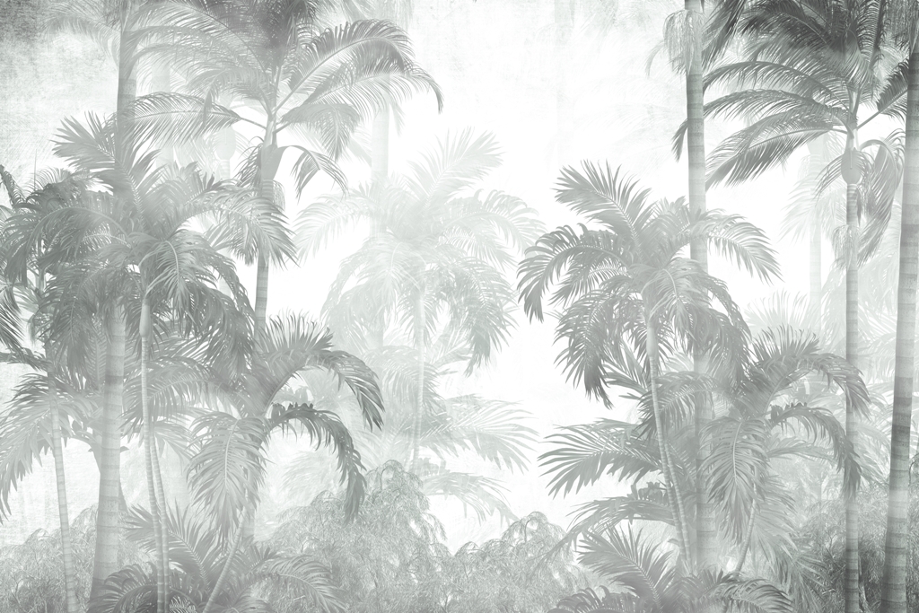 Fototapeta Mgła Wśród Palm_2198597131'