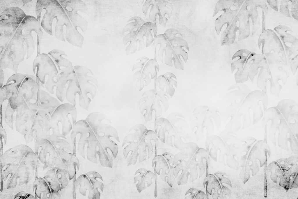 Fototapeta Niewidoczna Monstera_2222035399'