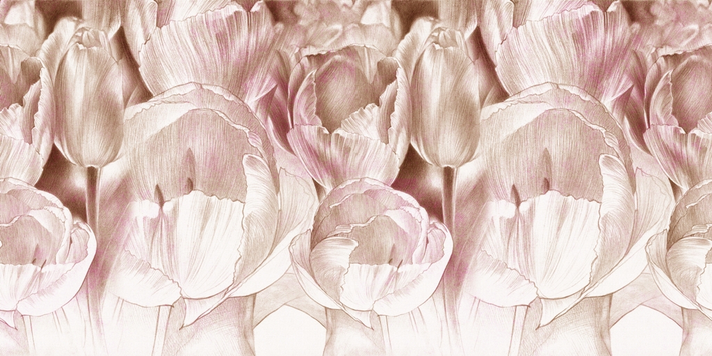 Fototapeta Różowe Tulipany_2145092197'
