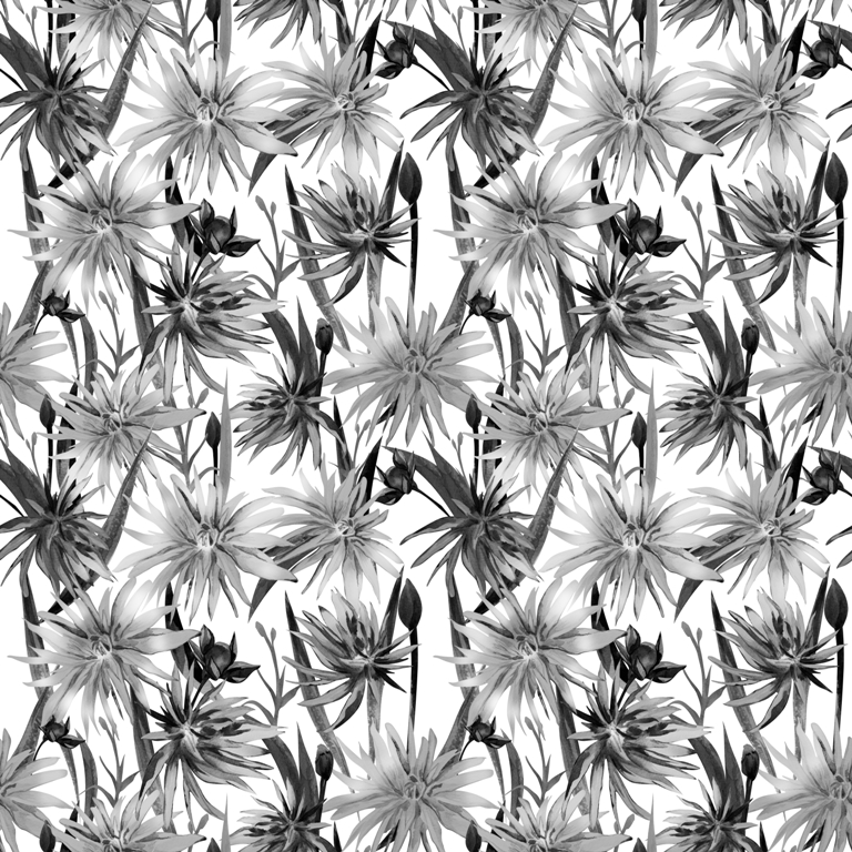 Fototapeta Czarne Kwitnące Kwiaty_1113959189' Fototapeta z motywem roślinnym w ciemnych barwach pasująca do nowoczesnego salonu Czarne Kwitnące Kwiaty - zdjęcie numer 2