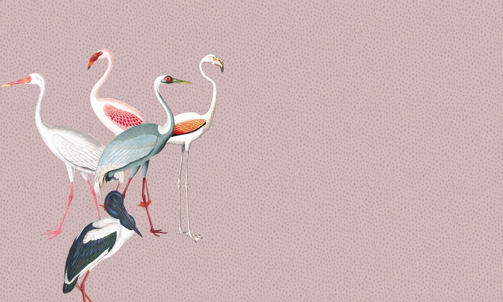 Fototapeta Flamingi w Kropkach_2245574641'