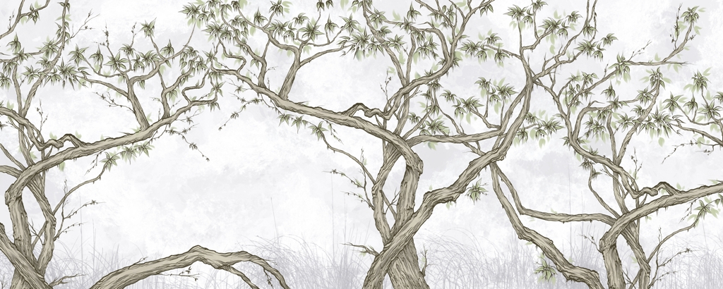 trees climbing liants, leaves, nature, photo wallpapers in the room Fototapeta w formie ryciny idealna do salonu Splątane Gałęzie - zdjęcie numer 2