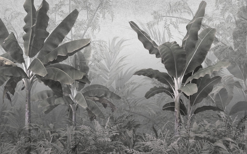 tropical trees and leaves wallpaper design in foggy forest - 3D illustration Fototapeta w różnych odcieniach grafitu i szarości z egzotycznym motywem do eleganckich wnętrz Ciemna Dżungla - zdjęcie numer 2