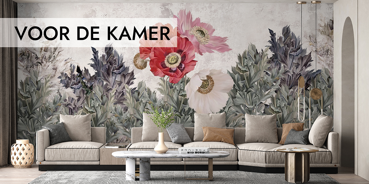 Voor de kamer Baner
