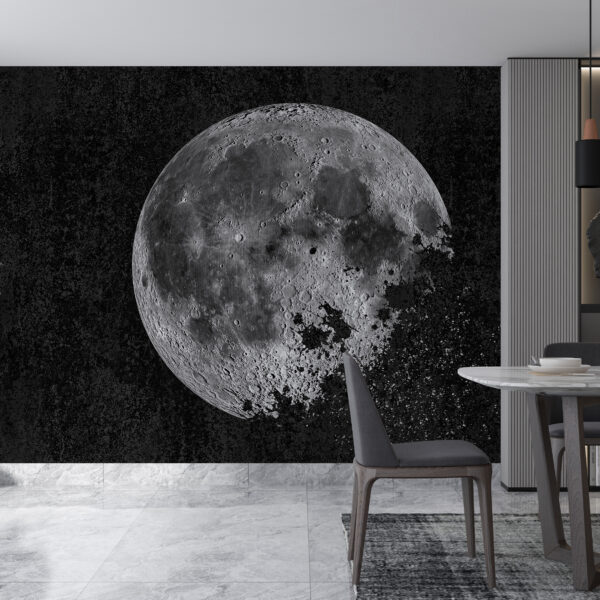 Mural Maan Zwart