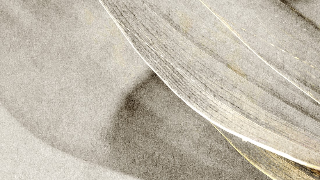 Textured,Beige,Background,With,A,Soft,,Flowing,Pattern.,The,Beige