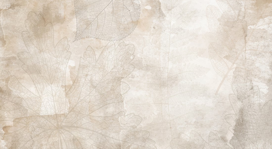 Old,Paper,Texture,Line,Leaves