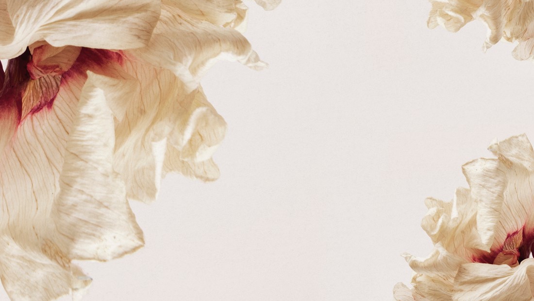 Elegant,Floral,Background,With,Beige,And,Cream,Tones.,The,Background