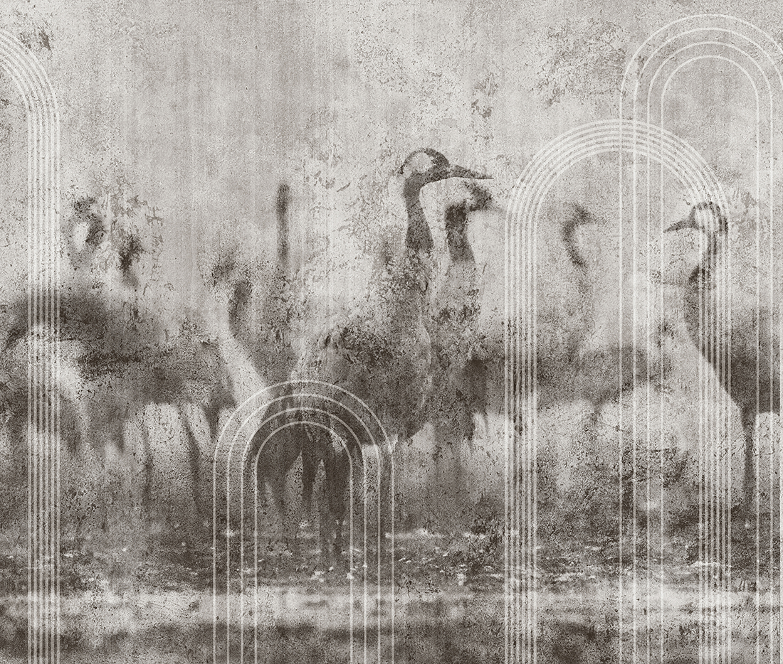 Textured background with beautiful cranes. Illustration for wall