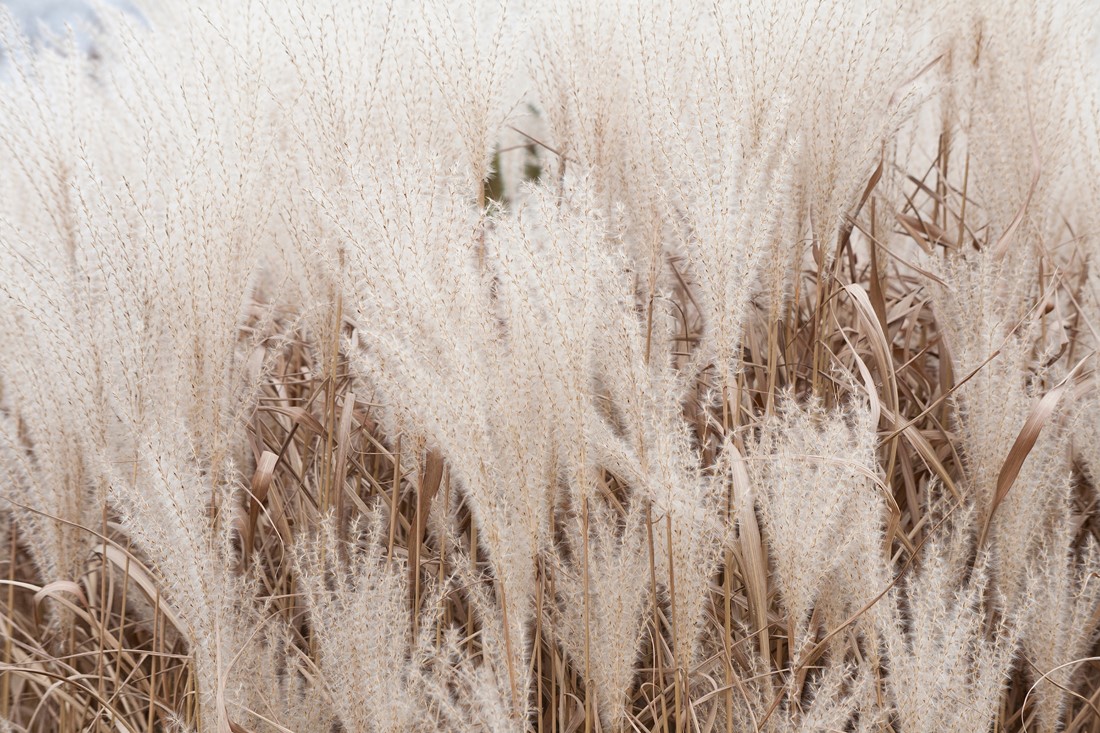 AdobeStock_290310956