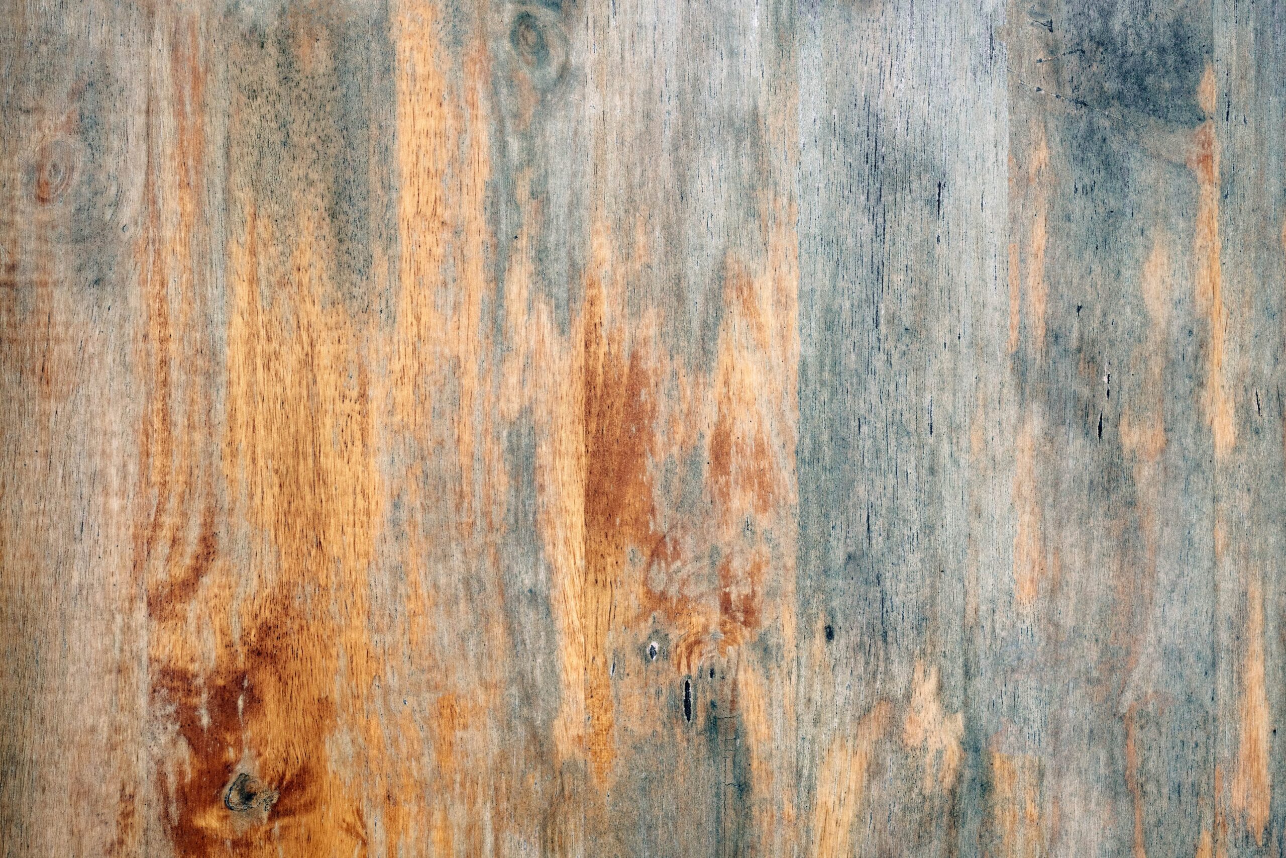 AdobeStock_339066428-scaled-1