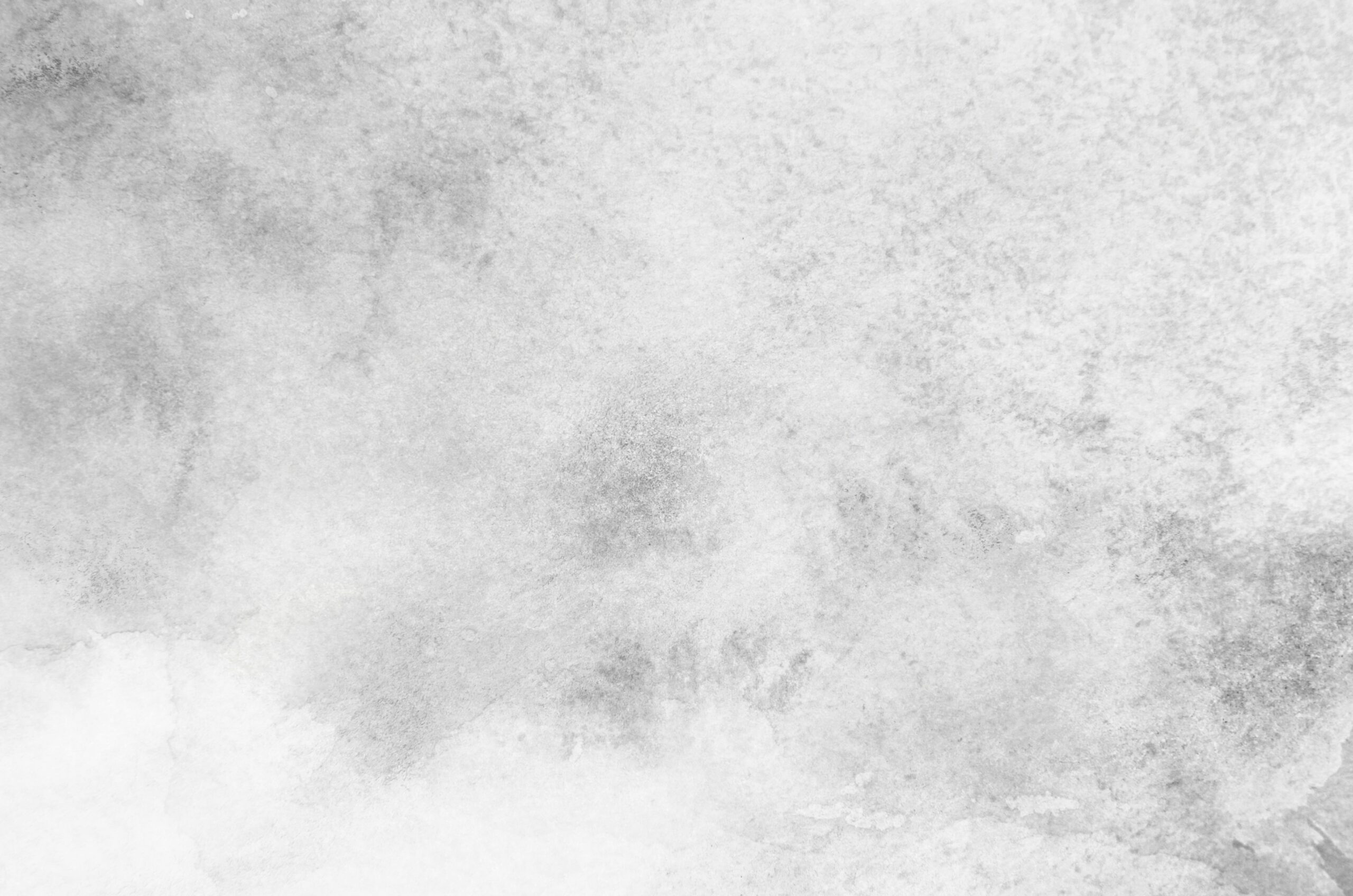 AdobeStock_414723054-scaled-1