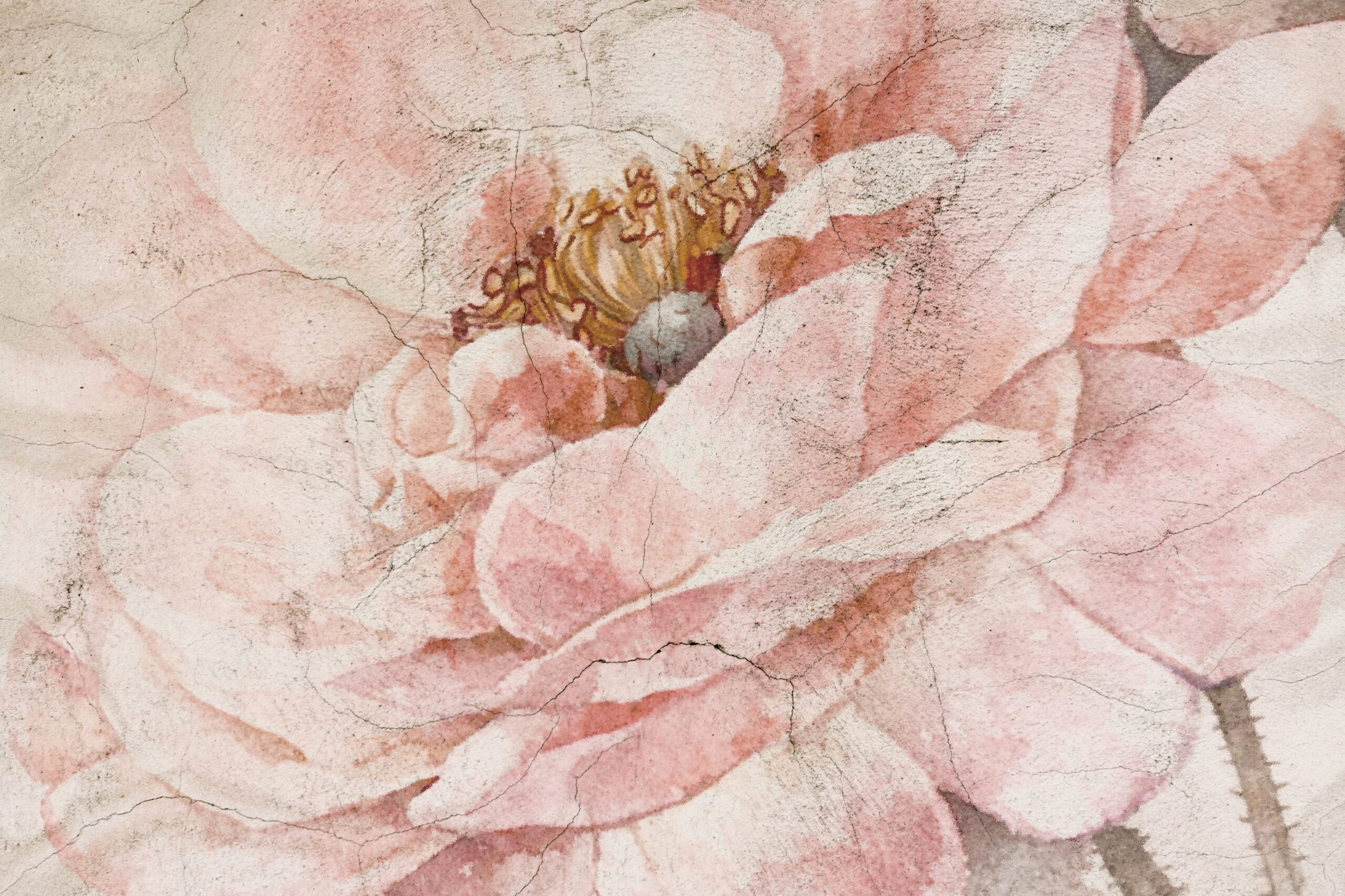 Fotobehang Bloem in de scheuren van de tijd
